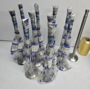 Plastic Wrapped Daihatsu Engine Exhaust Valves A collection of engine exhaust valves packaged in clear plastic wrap with blue Daihatsu genuine parts branding.