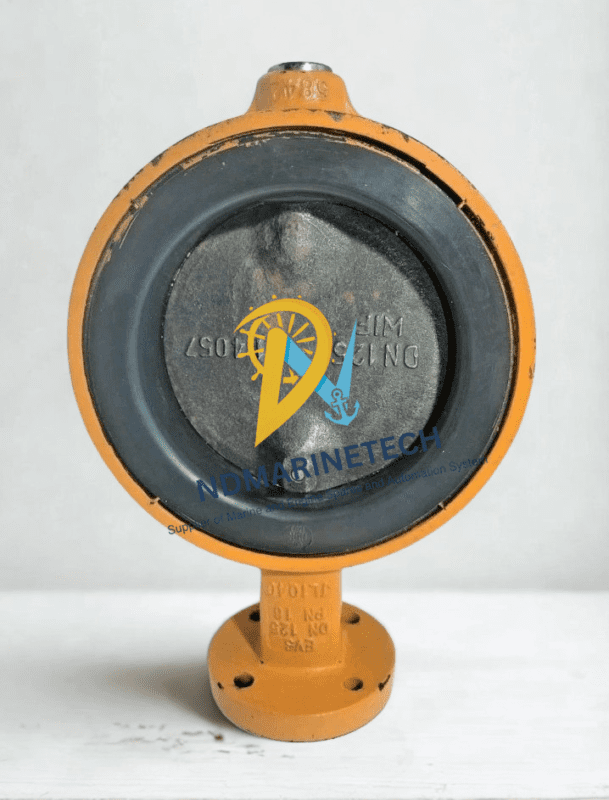 WW EUROVALVE DN125 PN16 - Frontal View & Size Markings Front view of WW EUROVALVE DN125 PN16 butterfly valve showing EPDM seat, cast iron disc, and embossed DN125 PN16 markings on the neck.