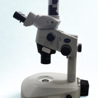 Side profile of the Olympus SZX10 Stereo Zoom Microscope mounted on a high-clearance stand with transmitted light base and camera attachment.