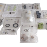 Sorted and individually bagged replacement parts and maintenance kit components for Clover Tool C54450-51 fluid end pump spares arranged against a black background.