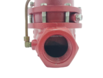 Close-up of the 2-inch threaded NPT port inlet on a red Kimray 212 SGT back pressure regulator body