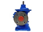 Side profile of Netzsch LN48/80-S0-6L twin screw pump displaying the 2-inch pipe flange connection with red protective cap.