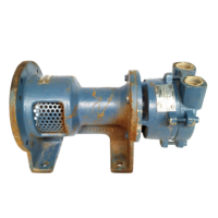 Finder Pompe LEX25 liquid ring vacuum pump bare-shaft assembly with IEC lantern bracket.
