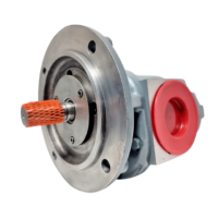 Kracht KF5/250 H10B P0A 0DP1 hydraulic gear pump drive shaft and mounting flange