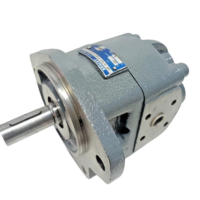Kracht KP 2/40 F1BA Z00 2DL1 hydraulic gear pump showing drive shaft and nameplate